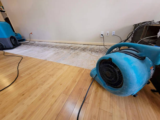 Professional Water Damage Repair technician working in Dorsey, IL
